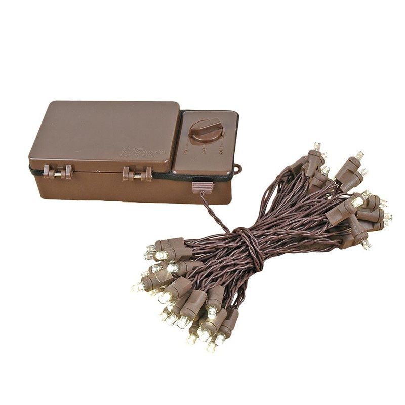 Ashfield Outdoor 50 - Bulb 4'' Battery Powered LED Wide Angle LED String Light, Warm White, Brown