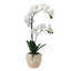 22 in. Realistic Artificial Orchid with Decorative Pot-1759057787