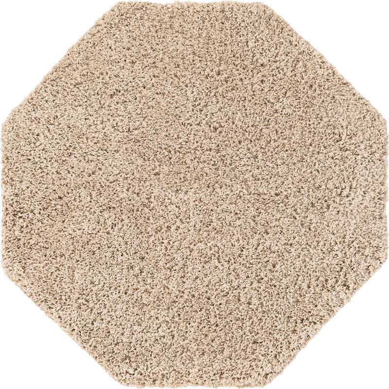 Tapis à poils longs Ashmita de couleur brun clair, Octogone 4 pi