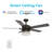 52'' Ceiling Fan with Light Kit-106258113