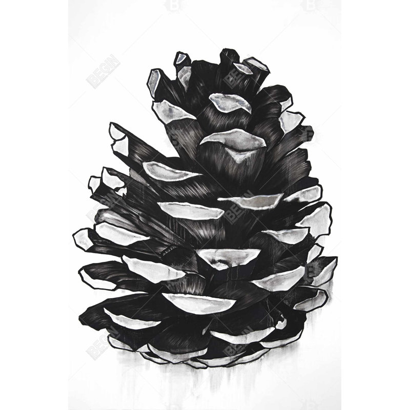 " Pine Cone "