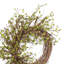 26" Spring Grapevine Wreath for Front Door-584722433