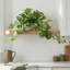 Ochoa Faux Syngonium Plant in Ceramic Vase