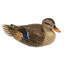 ‘Elegant Mallard Wood Statuette