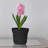 Saturn Traditional Plastic Indoor/Outdoor Round Planter with Saucer-353335650-310154100