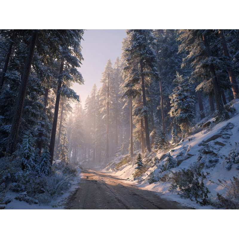 Art mural sur toile Foggy Forest Ridge, H 12 po x l 16 po