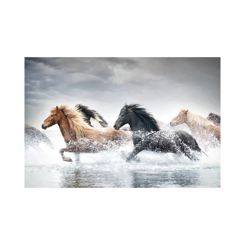 «Horse Run V» par Phburchett - reproduction de photo sur toile tendue, H 12 po x l 18 po x 1,5 po