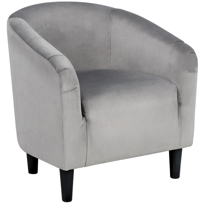 Robeson 28" Wide Velvet Barrel Chair, Gray Velvet