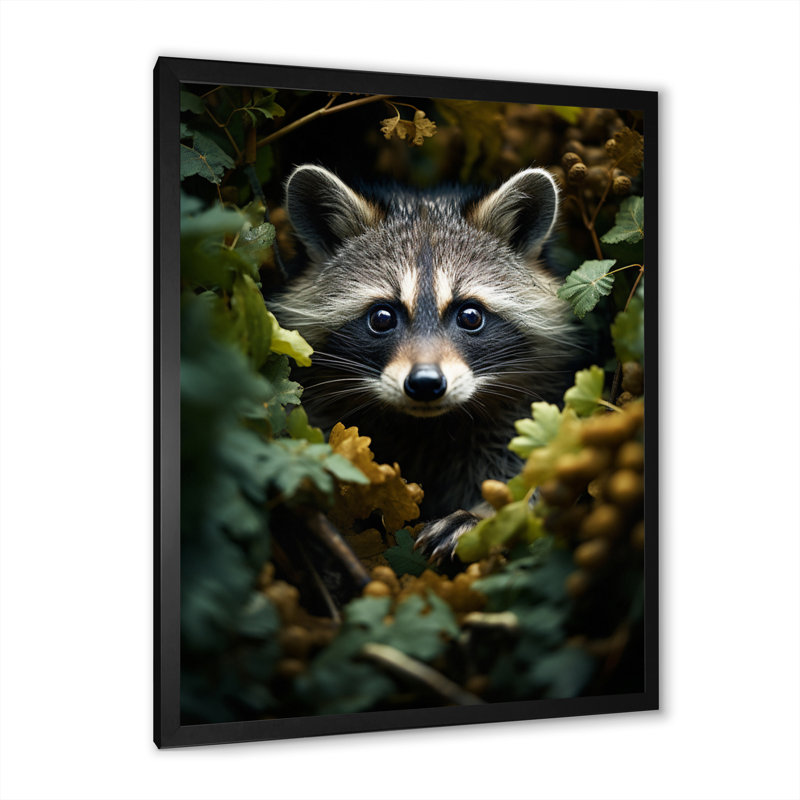 Curious Raccoon Collage VI - impression, Toile noire à cadre unique, H 44 po x l 34 po x P 1,5 po