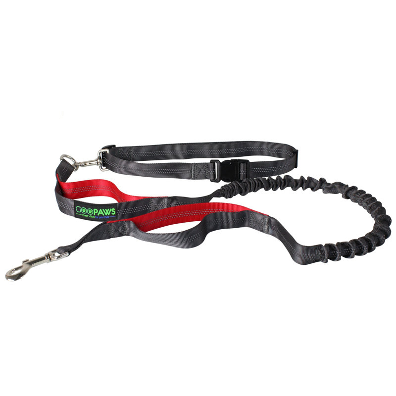 Laisse en bungee mains libres, Rouge