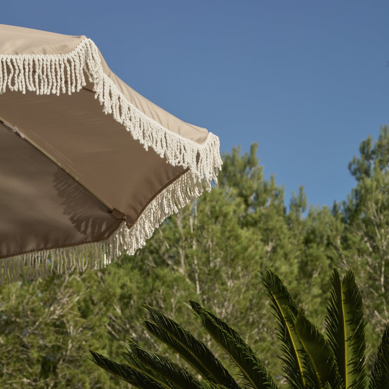 Parasol, Natural