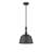 Saxon 1-Light Dimmable Dome Pendant-1953057661