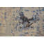 Tapis indien en laine Modern Modern