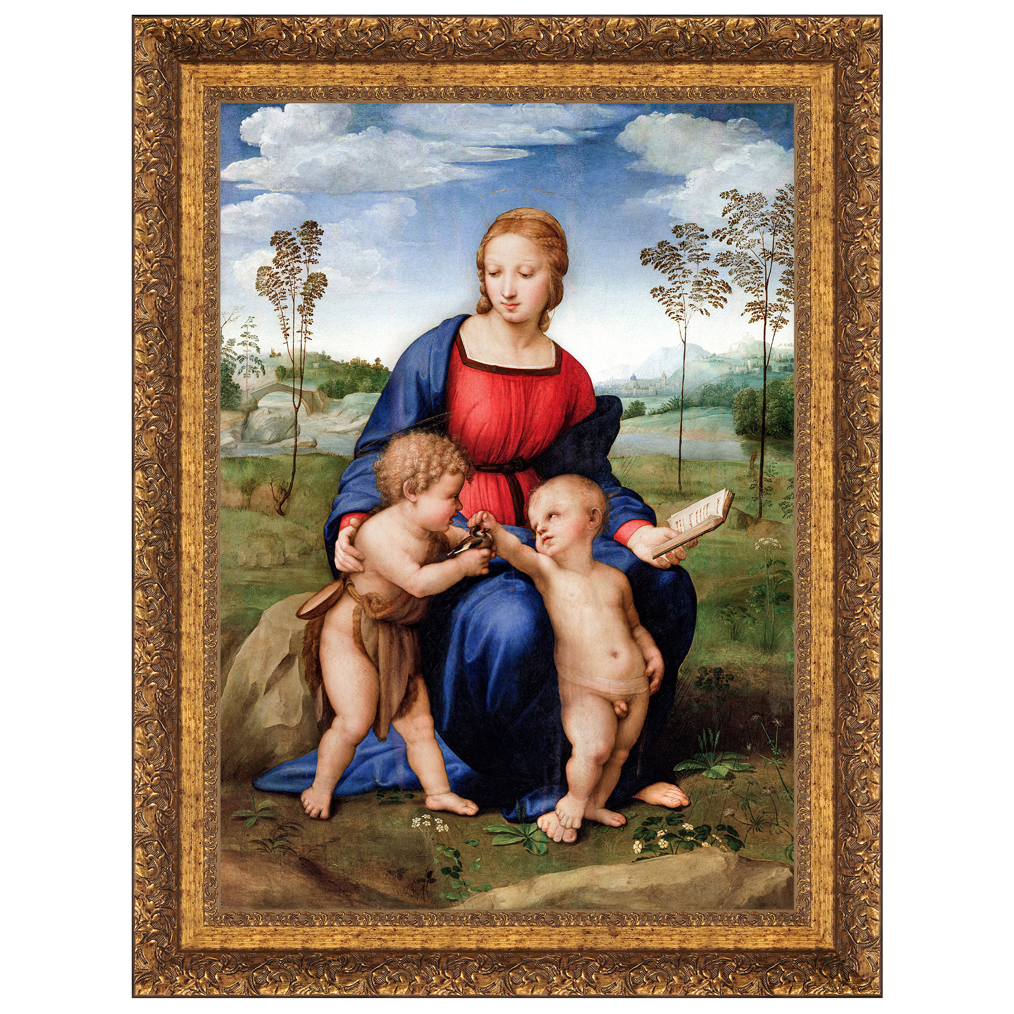 Design Toscano Madonna of the Goldfinch, 1506 Framed Print on Canvas ...