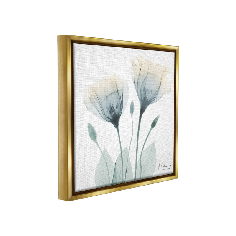 "Opaque Tulip Duo Floater Frame" par Albert Koetsier sur, Cadre flottant métallique doré, H 18 po x l 18 po