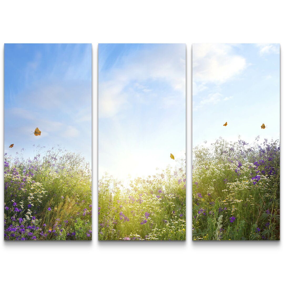 3-tlg. Leinwandbilder-Set Sommerliche Blumenwiese