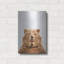 «Bear» par Taï Prints, art mural en métal »par Taï Prints-1940151148