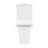 Eclair One-Piece Square Toilet Dual-Flush 0.8/1.28 gpf