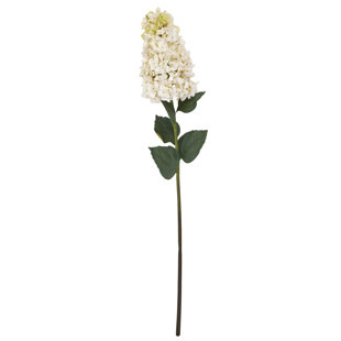 Arrangement