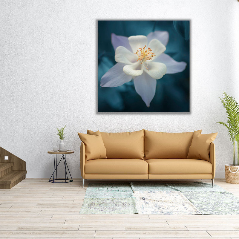 Aquilegia - reproduction d'art sur toile, H 20 po x l 20 po