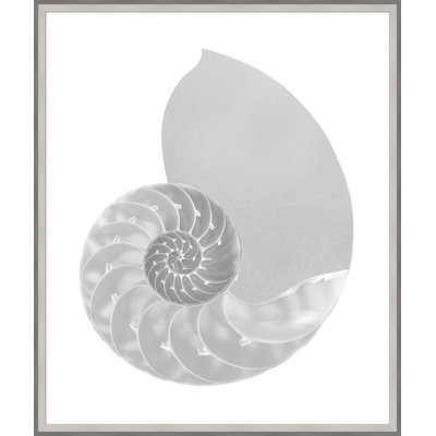 «Silver Leafed Shell», reproduction d'impression encadrée sur verre