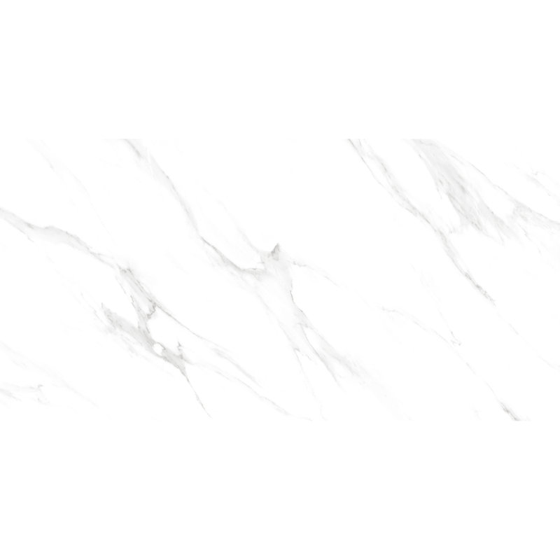 Monarch 24" x 48" Matte Porcelain Wall & Floor Tile, Calacatta