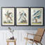 «Pastel Birds IV», reproduction encadrée de qualité supérieure - prête à être accrochée-69983527-69983526