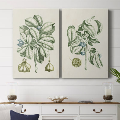 Toile tendue avec châssis Buchoz Tropicals