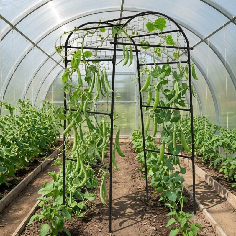 Treillis d'arche de jardin pour lits surélevés, support de plante en U pour concombres, melons, raisins, roses et légumes grimpants, noir