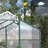 6X4 Ft Aluminum Greenhouse - Weather- Polycarbonate Cover Heavy Duty, Windproof, Blocking, Spacious Walk-In With Good Drainage System For Backyard Terrace Garden Panels All Season Use Excellent