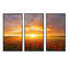" Poppy Field Under Bright Sunset " 3 - Pieces-1742332655-1742332652