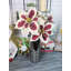 Bouquet de poinsettias artificiels 5 tiges