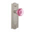 Meadows Plate with Waldorf Pink Door Knob-1446753160