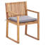 Adamina Patio Dining Armchair with Cushion-1447711481