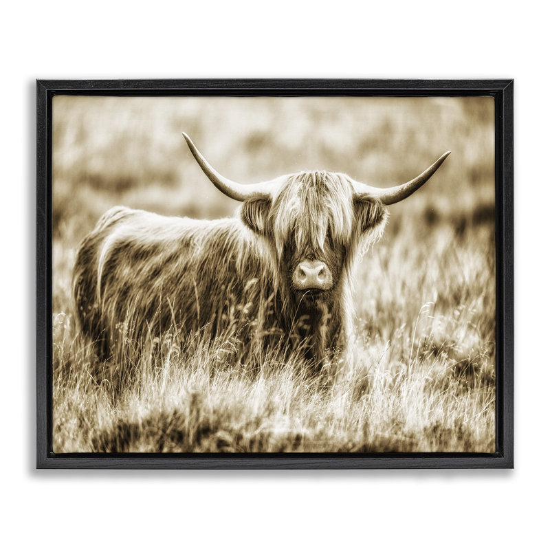 «Vintage Cow in Pasture Grain», art mural sur toile flottante par Villager Jim, H 25 po x l 31 po