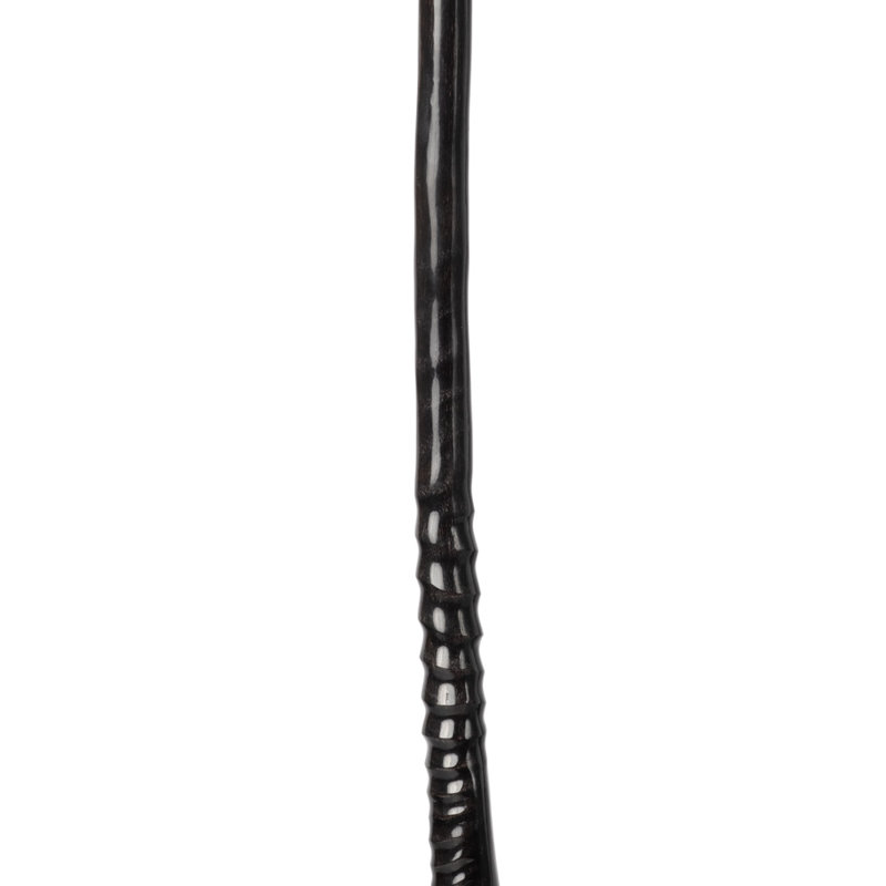 Polished Gemsbok Horn on Acrylic Display Base