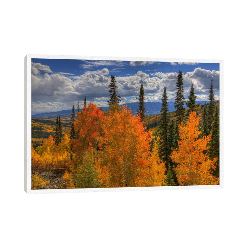 Autumn Fire At Ohio Pass 1 Piece Wall Art on Canvas, 101.6 cm H x 66.04 cm W x 4.445 cm D, White Framed