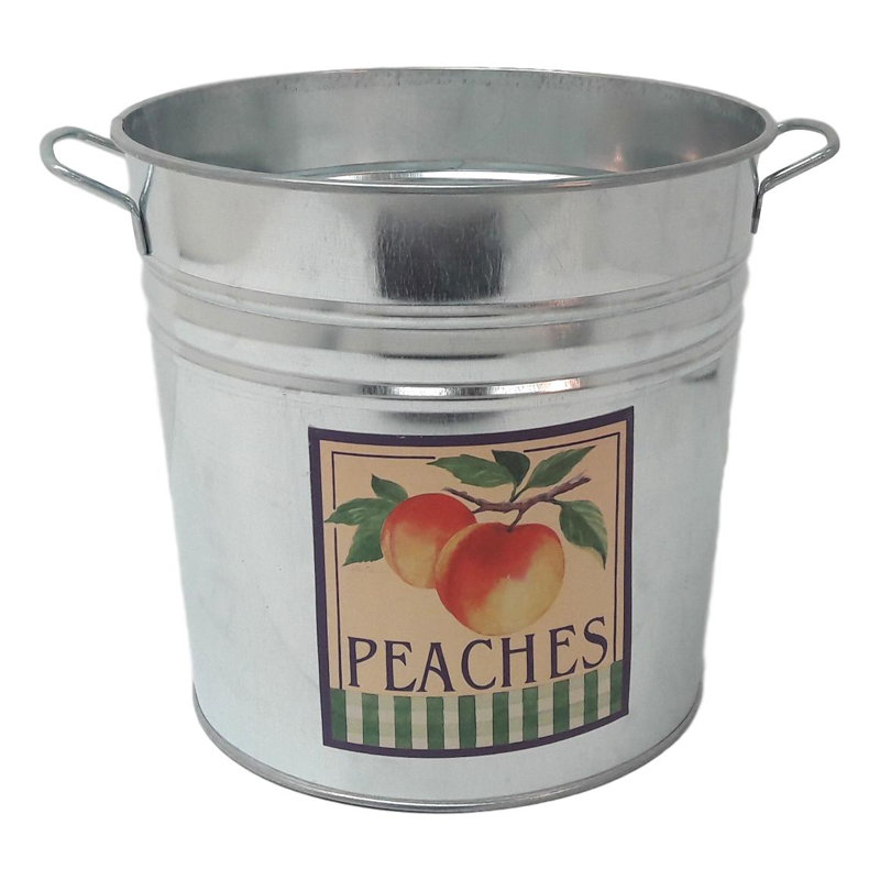 Figgs Metal Pot Planter, Peach