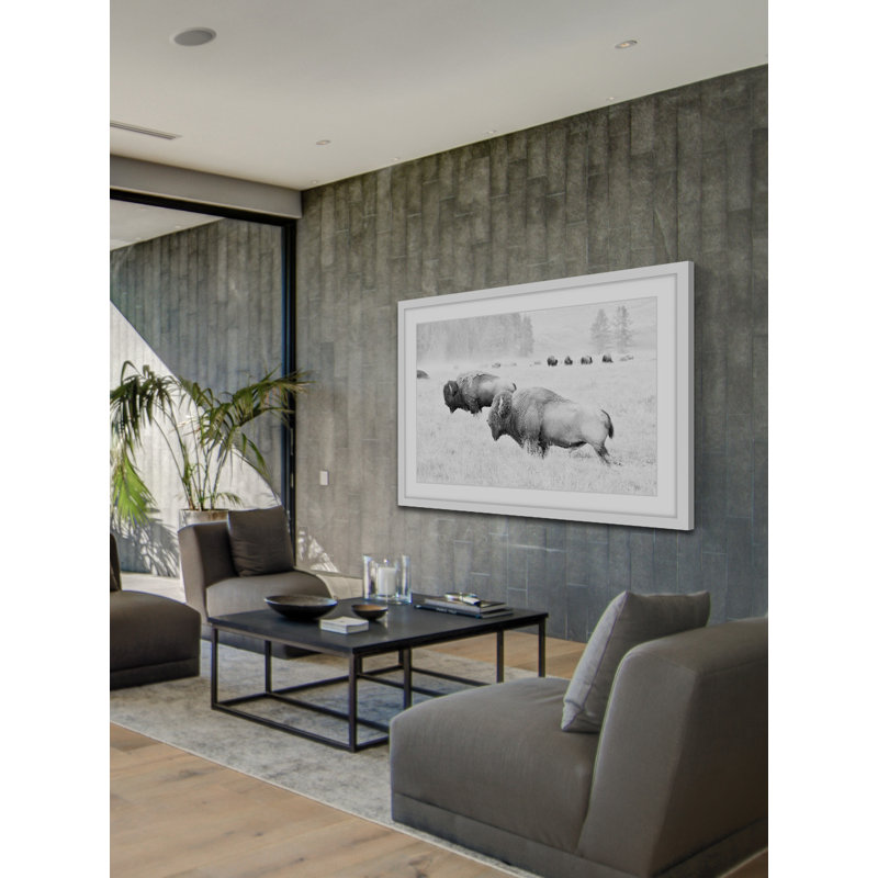 " Buffalos Two ", 24" H x 36" W x 1.5" D