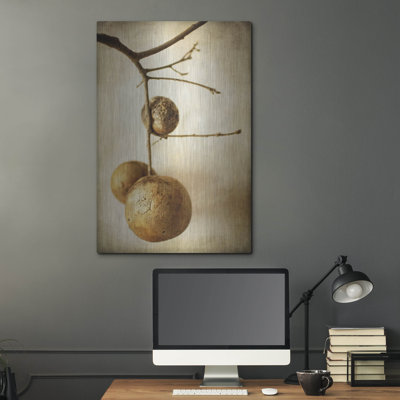 " Oak Pods 1 " Print