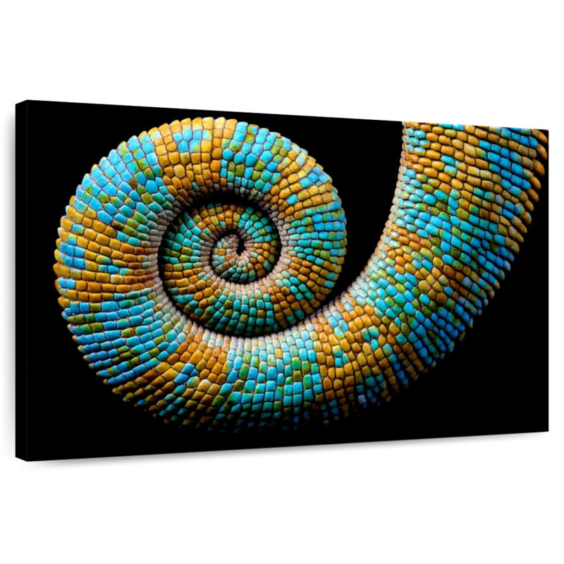 Brampt Curled Chameleon, 26" H x 39" W