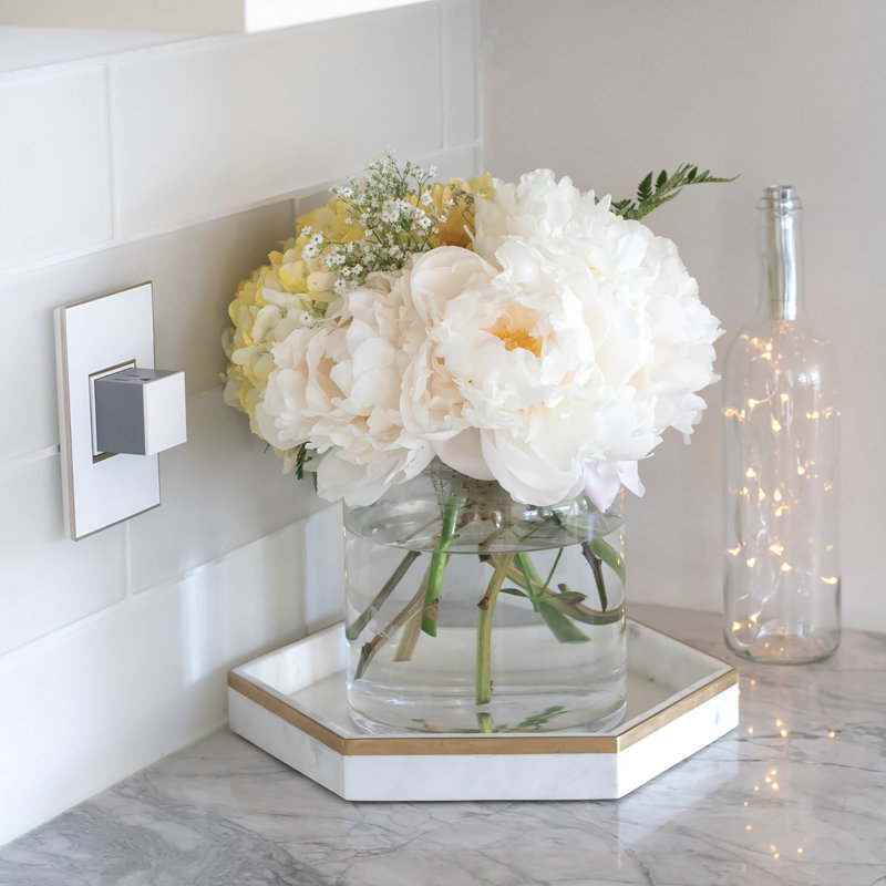 Adorne 15A 1-Gang Tamper-Resistant Pop-Out Outlet, White