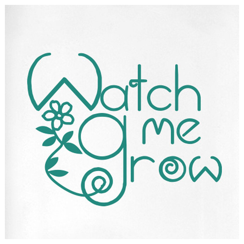 Wall Decal, Aqua Green