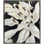 Bevy Print by Knighten Propac Images