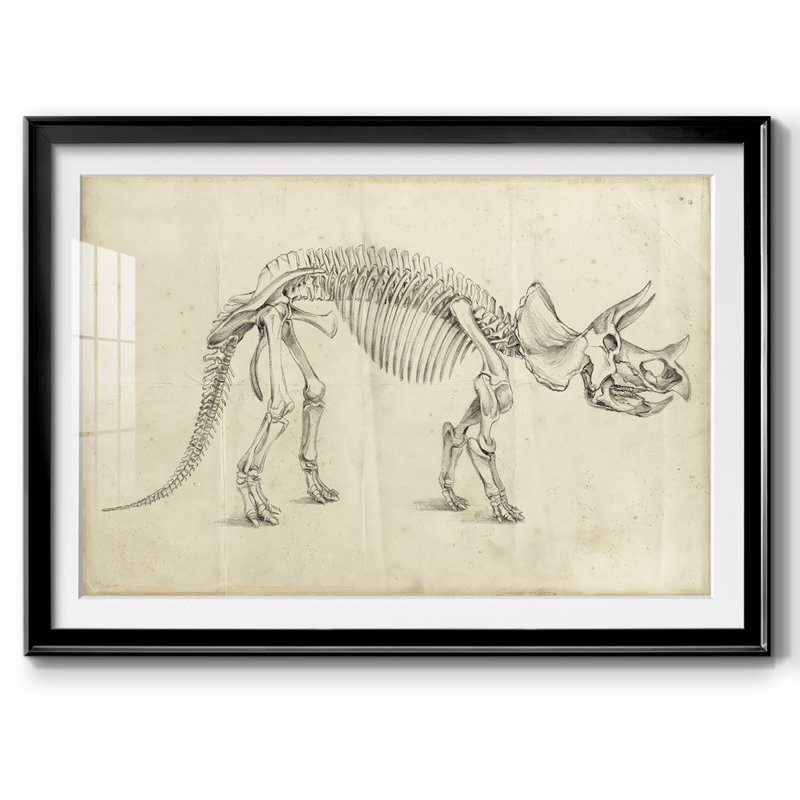 Dinosaur Study II, reproduction d'art encadrée, Noir, H 30 po x l 44 po x P 1,5 po
