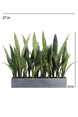 27" Potted Snake Plant - Natural, Gray