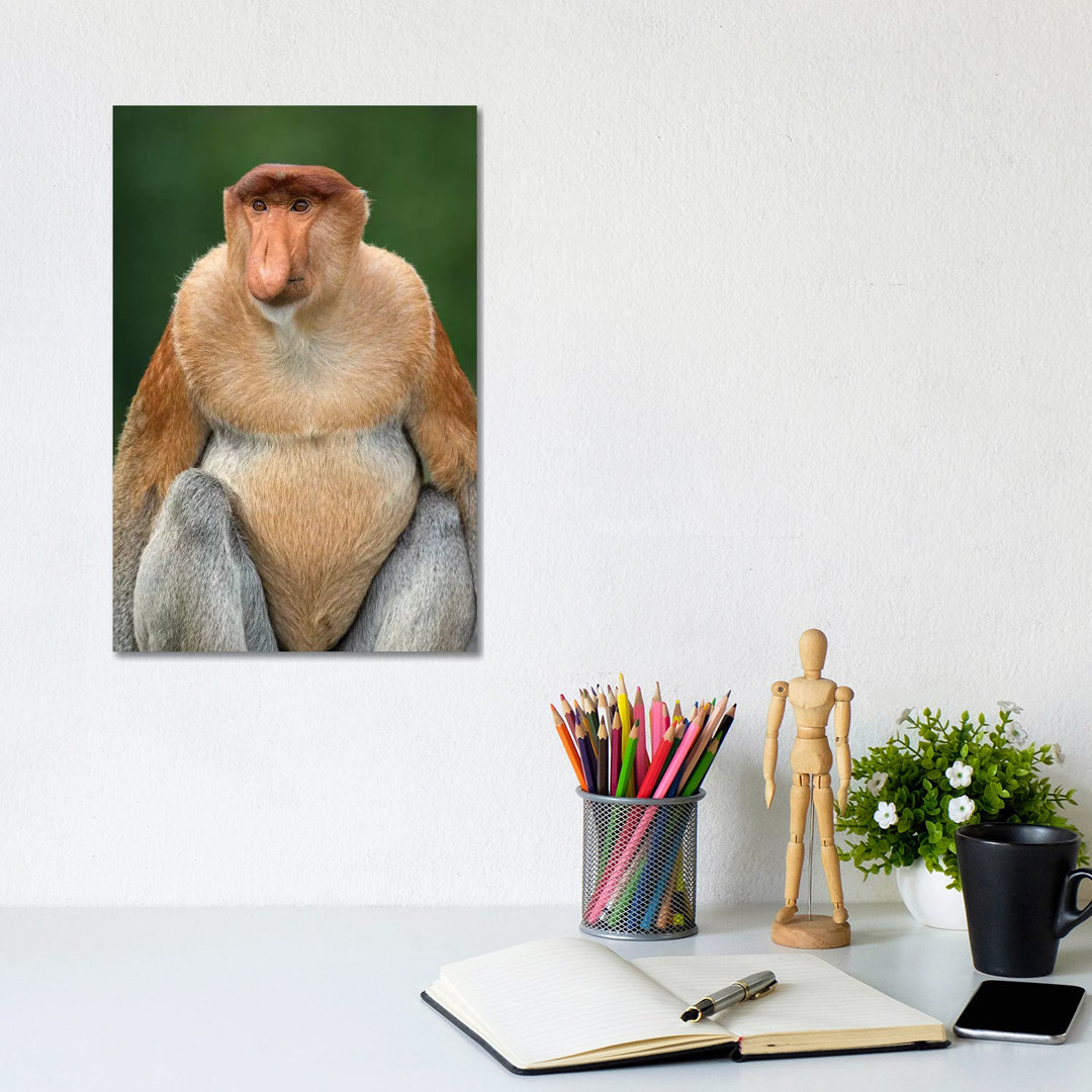 Proboscis Monkey Alpha Male Borneo by Mogens Trolle - Wrapped Canvas Print