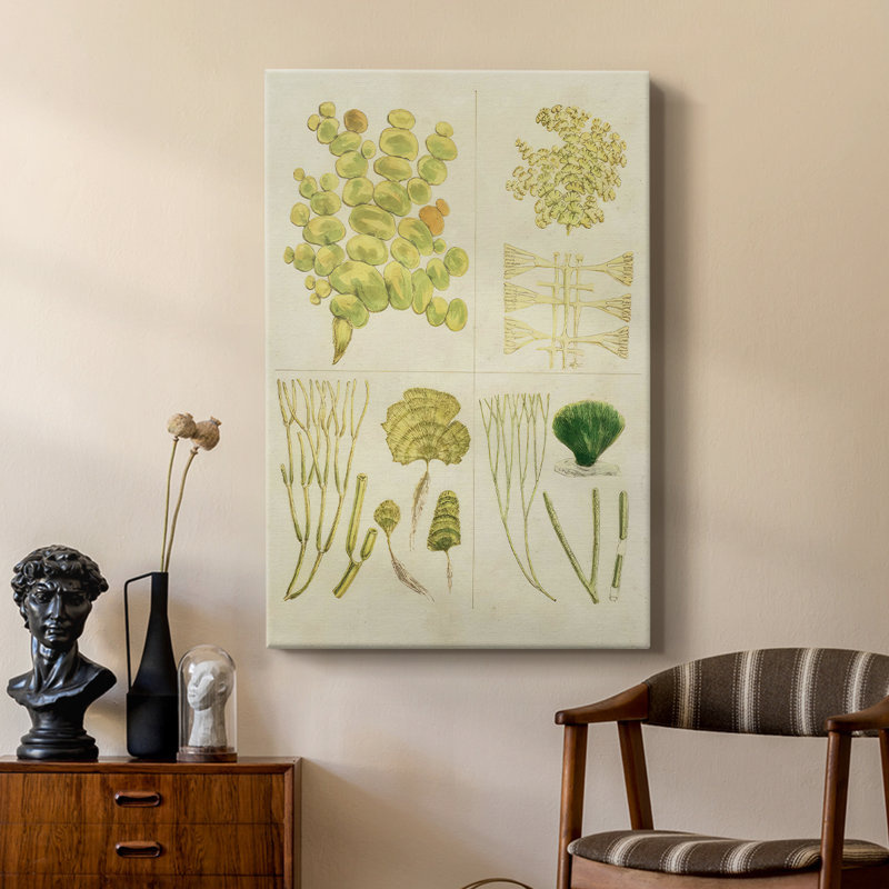 Herbe de mer rétro IV - galerie Cavas sur mesure, H 18 po x l 12 po