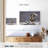 Peregrine Falcon-107673285