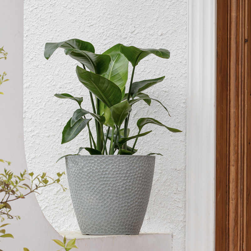 Pot à fleurs en résine Abiella, Gris orage, 1, H 11,8 po x l 14 po x P 14 po